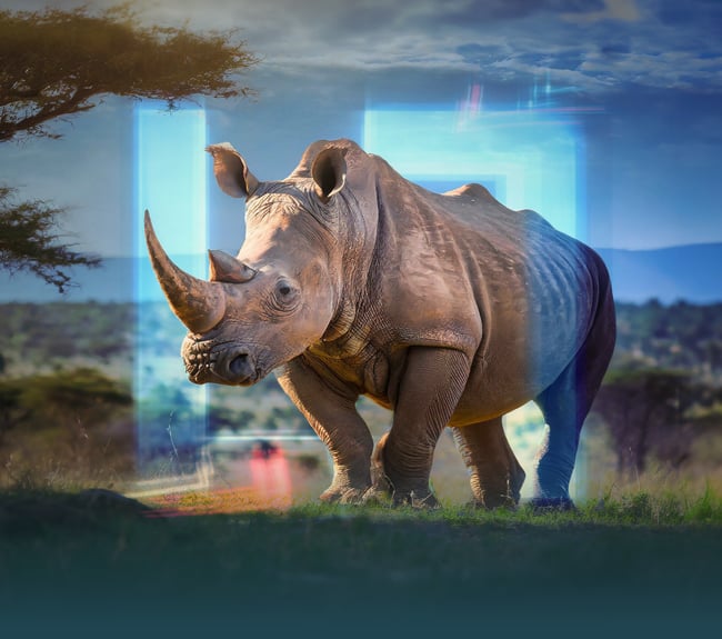 Rhino image template – Square v2